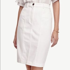 Ann Taylor Jean Skirt